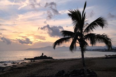 Palm trees on beach against sky during sunset