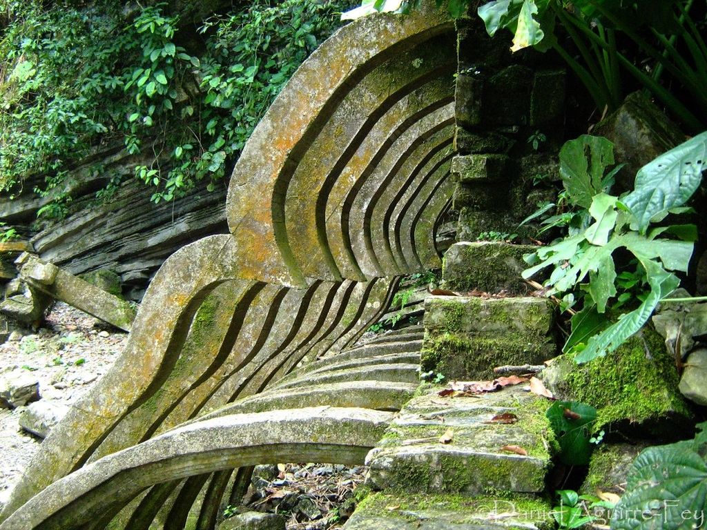 built structure, plant, growth, architecture, tree, steps, green color, steps and staircases, old, low angle view, staircase, outdoors, nature, day, no people, stone wall, leaf, history, stone material, pattern