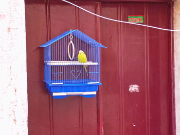 Closed blue door of building