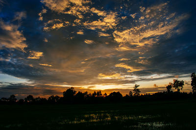 Silhouette trees on field against sky at sunset