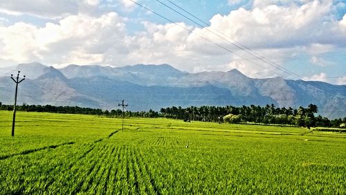 Scenic view of field against cloudy sky