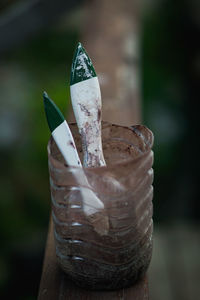 Close-up of drink on table
