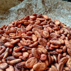 Dry cocoa beans