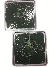 Close-up view of glass
