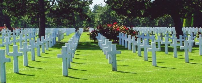 Row of flags at cemetery