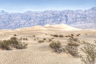 Scenic view of sand dunes against sky