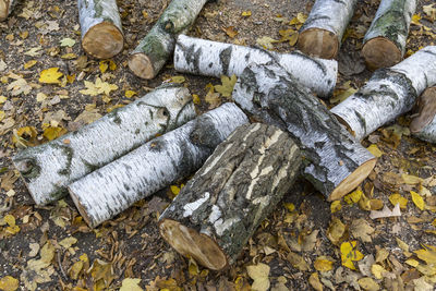 High angle view of cigarette on wood