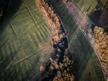 High angle view of trees on field