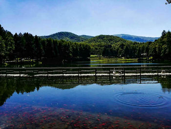 Scenic view of lake against blue sky