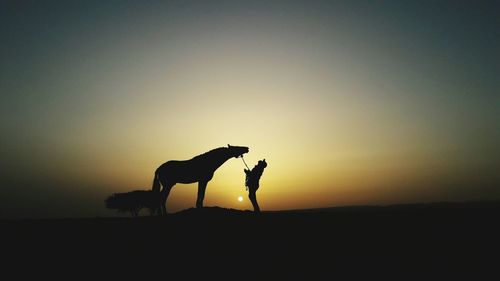 Silhouette man standing against clear sky during sunset