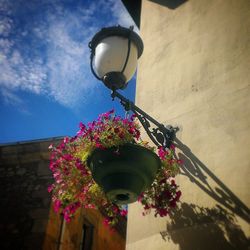 Low angle view of illuminated lamp post