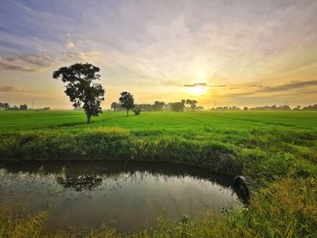 Scenic view of field against sky during sunset