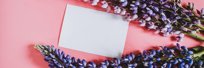 High angle view of pink flowers on table