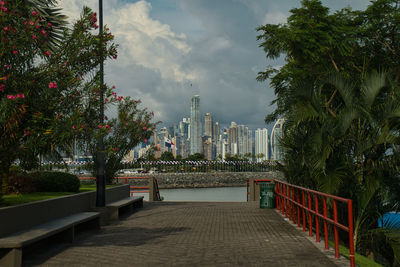 Footpath amidst trees and buildings against sky