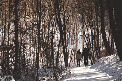 Rear view of people walking on snow covered forest