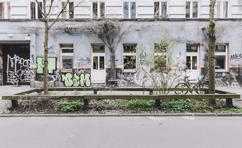 View of plants in front of building