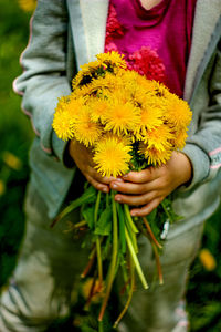 Close-up of person holding yellow flower