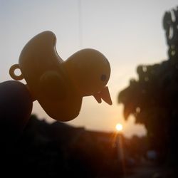 Close-up of sun over the sea
