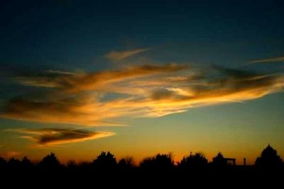 Silhouette of trees against dramatic sky