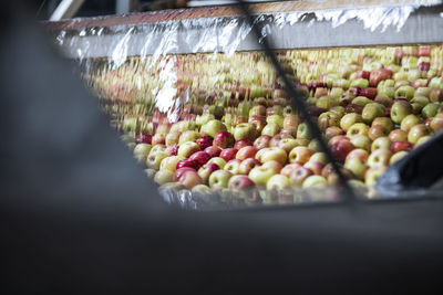 Apples in factory wrapped up in plastic