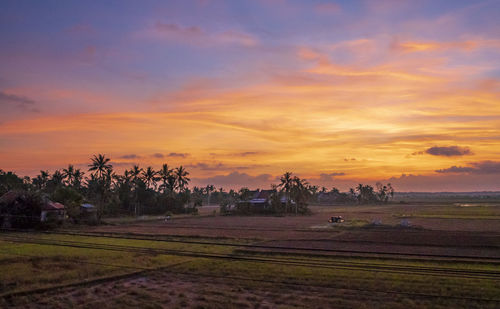 Scenic view of field against sky during sunset