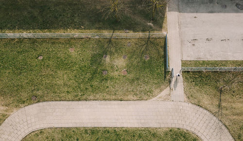 High angle view of plants growing on field