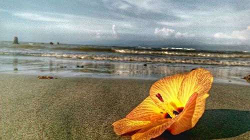 Scenic view of sea against cloudy sky