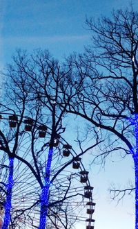 Low angle view of bare tree against blue sky