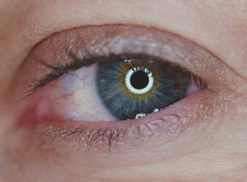 Close-up portrait of human eye