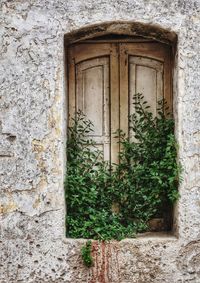 Closed door of old building