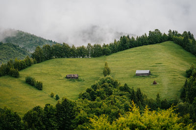 Scenic view of trees on mountain against foggy sky