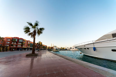 Palm trees by sea against clear sky