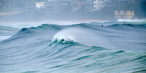 Big waves at manly beach