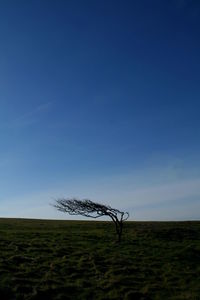 Scenic view of grassy field against cloudy sky