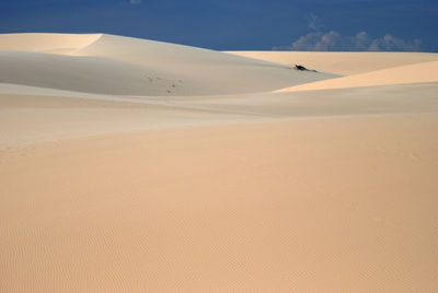 Scenic view of landscape