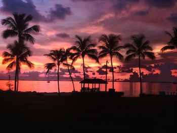 Silhouette palm trees on beach against sky at sunset