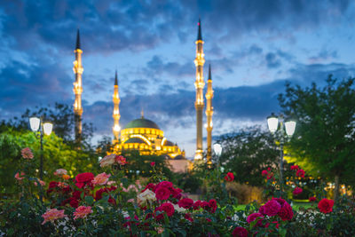 View of flowering plants by building against cloudy sky