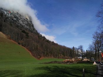 Scenic view of field against sky