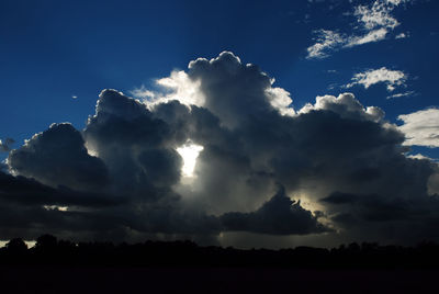 Low angle view of silhouette trees against sky