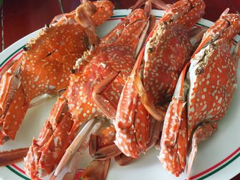 High angle view of crabs in plate