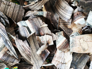 Full frame shot of logs in forest