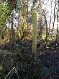 Road sign by trees