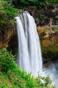 View of waterfall in forest