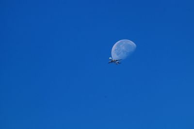 Low angle view of airplane against clear blue sky