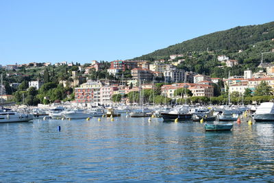 Sailboats moored on sea by buildings against clear sky