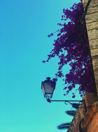 Low angle view of tree against clear blue sky