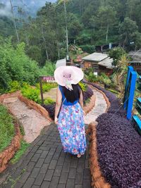 Rear view of woman walking on footpath amidst trees