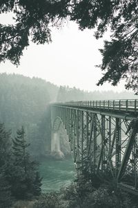 Bridge over river in forest against sky