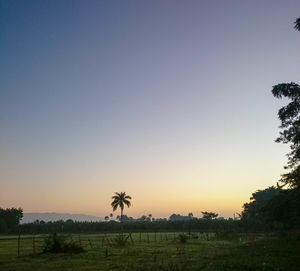 Scenic view of field against clear sky