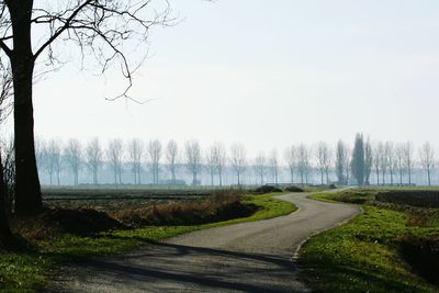 Road amidst trees against clear sky